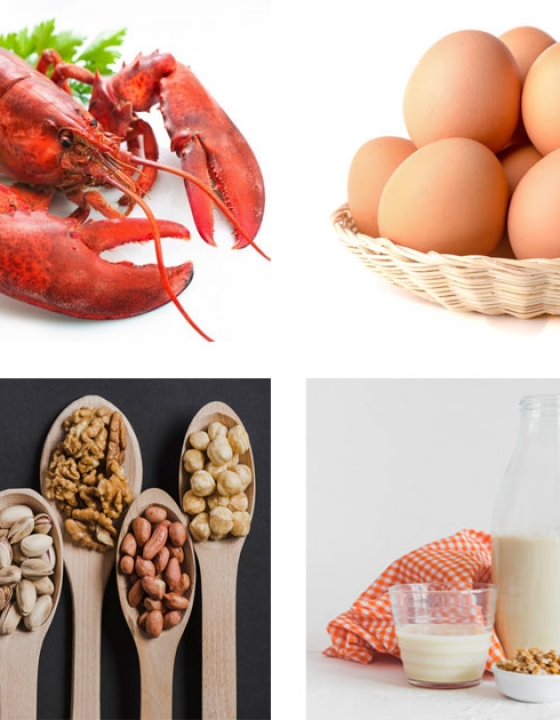 LOS ALÉRGENOS. ¿QUÉ SON? ¿CÓMO NOS AFECTAN?