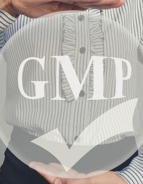 IMPORTANCIA DEL CERTIFICADO GMP EN TUS SUPLEMENTOS ALIMENTICIOS. TU ALIMENTACIÓN EN BUENAS MANOS.