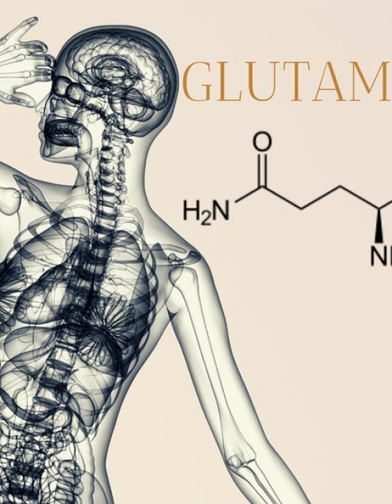 LA GLUTAMINA – EL AMINOÁCIDO MÁS ABUNDANTE DEL ORGANISMO!!!!