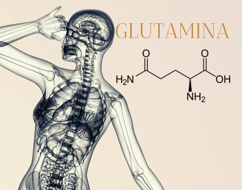 glutamina-lamberts-complementos-canarias